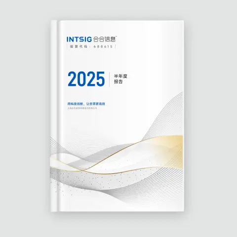 2025 年度报告